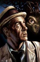 Jacket Illustration